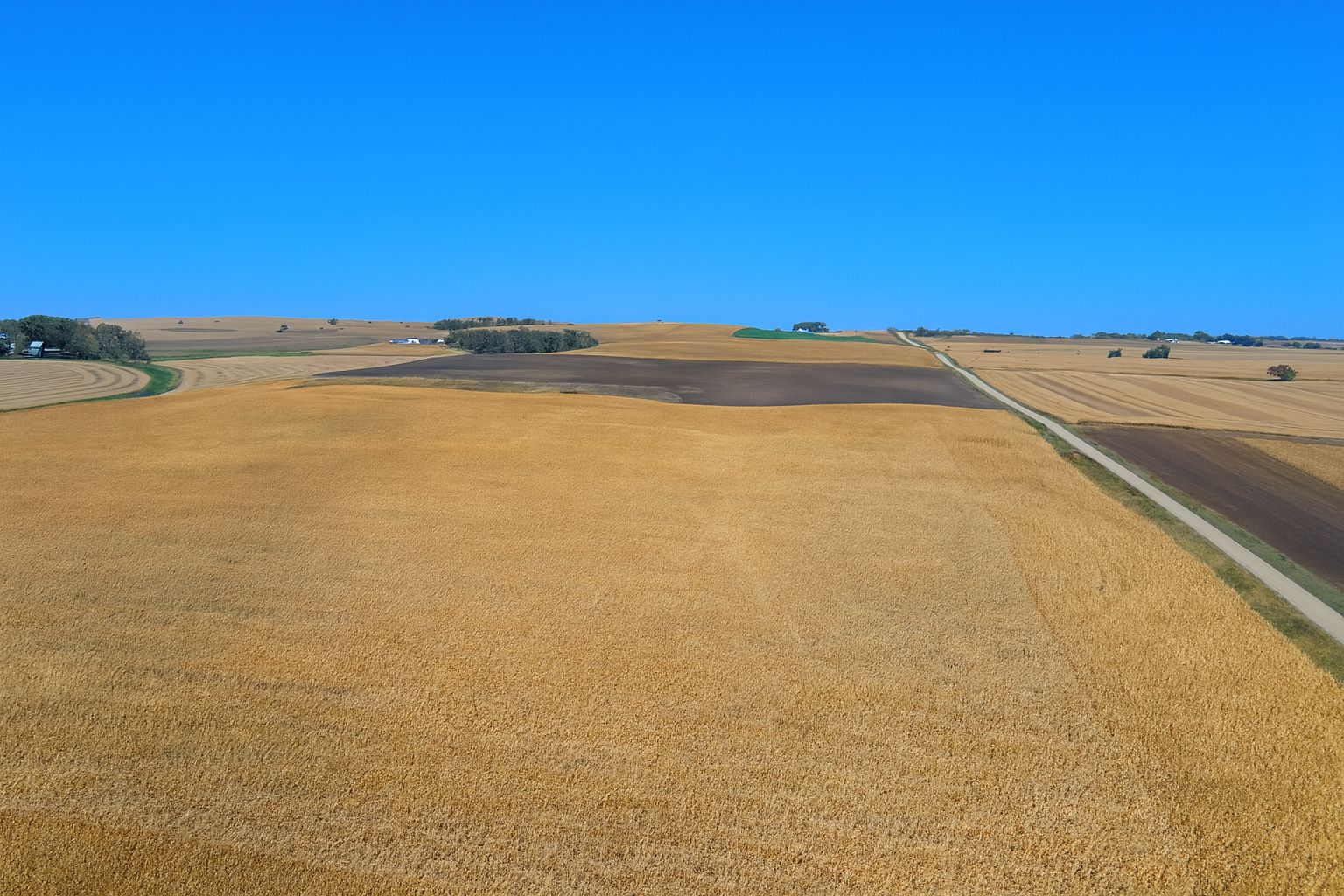 Listing Photo: East end of 80.39 tract in Faribault County, MN